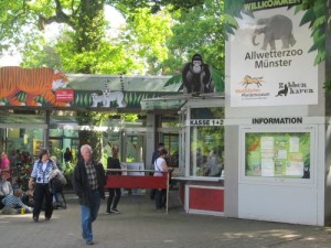 Wilsberg Drehorte in Münster - Das Antiquariat | Adresse